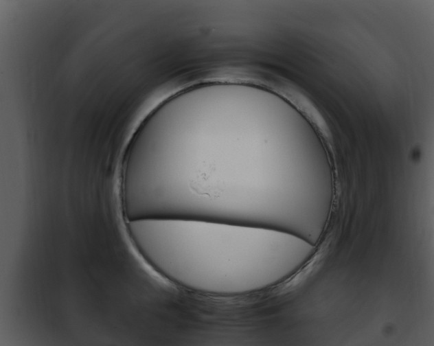 X0000101990855200807180823