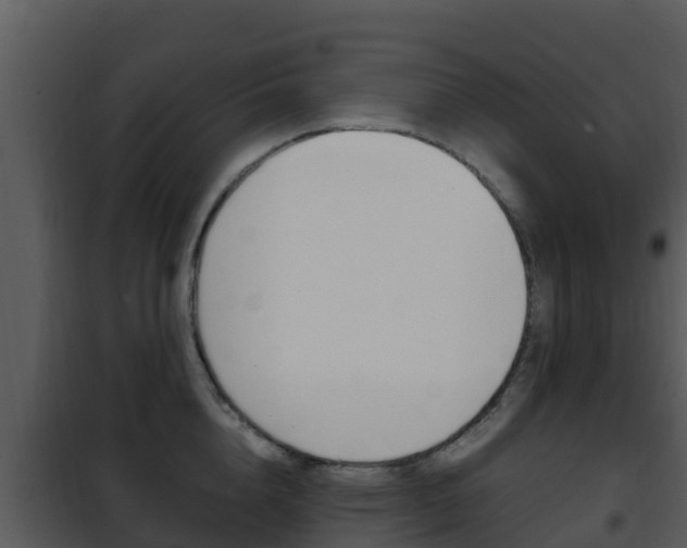 X0000101990856200807180823
