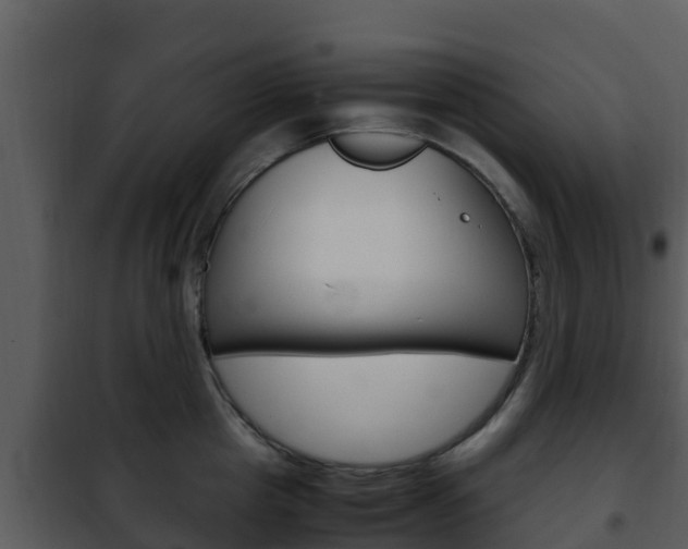 X0000101990857200807180823