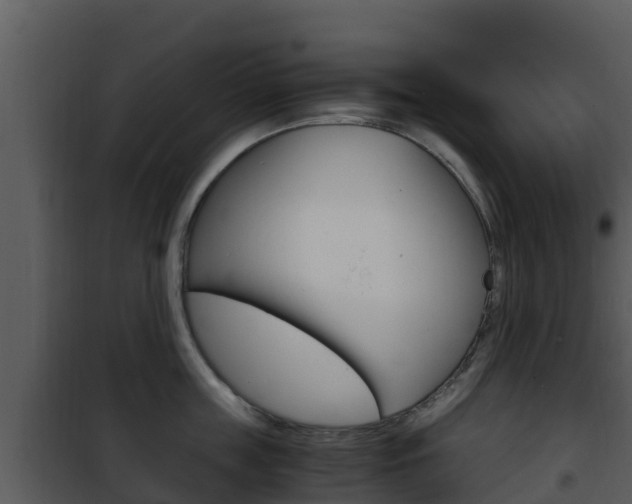 X0000101990859200807180823