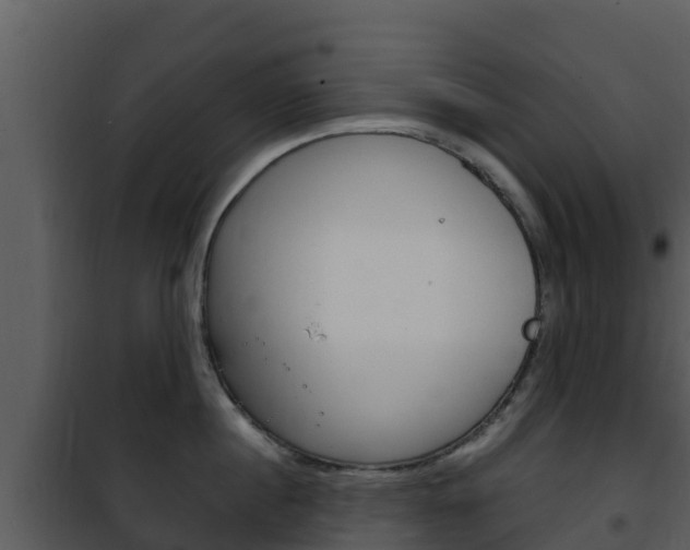 X0000101990860200807180823