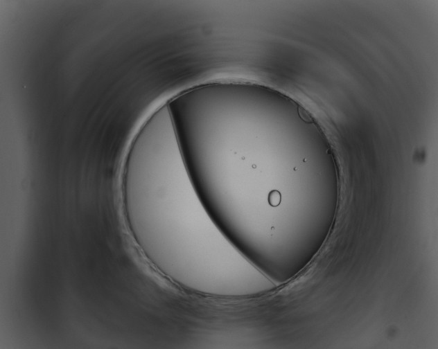 X0000101990864200807180823