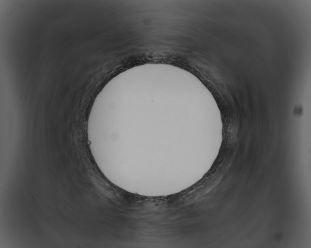 X0000101990865200807180822