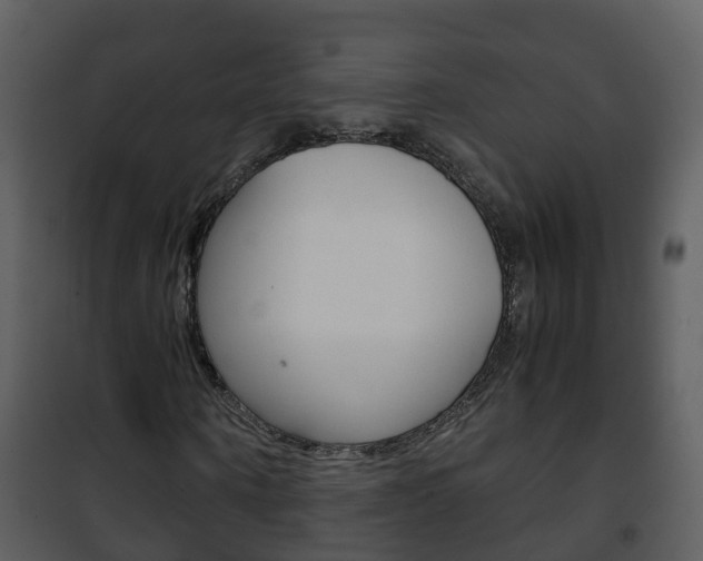 X0000101990866200807180822