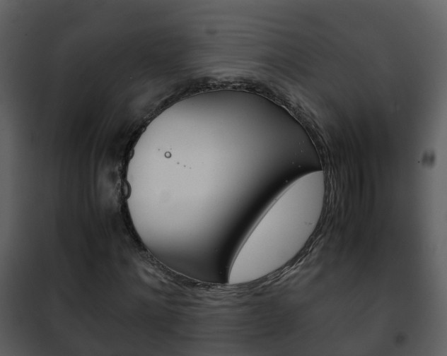X0000101990868200807180822