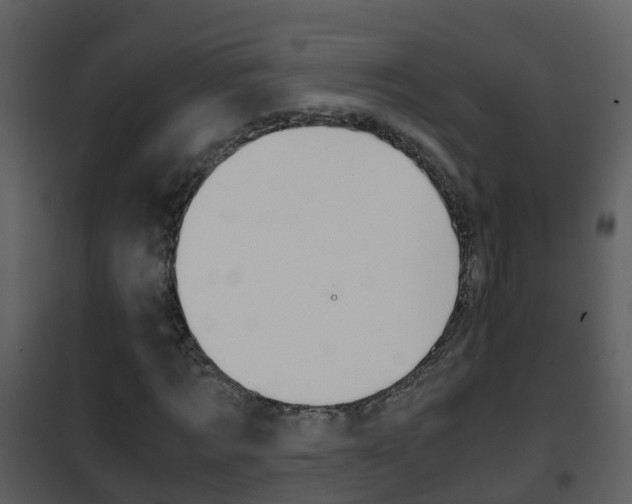 X0000101990869200807180822