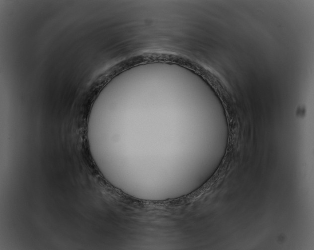 X0000101990870200807180822