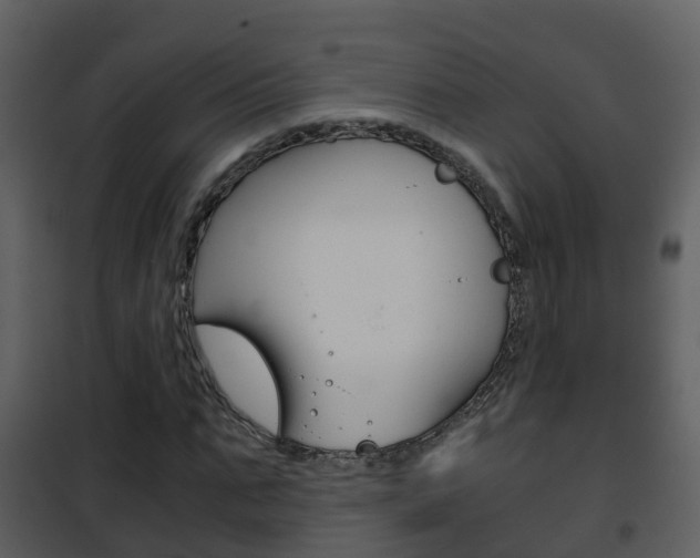 X0000101990871200807180822