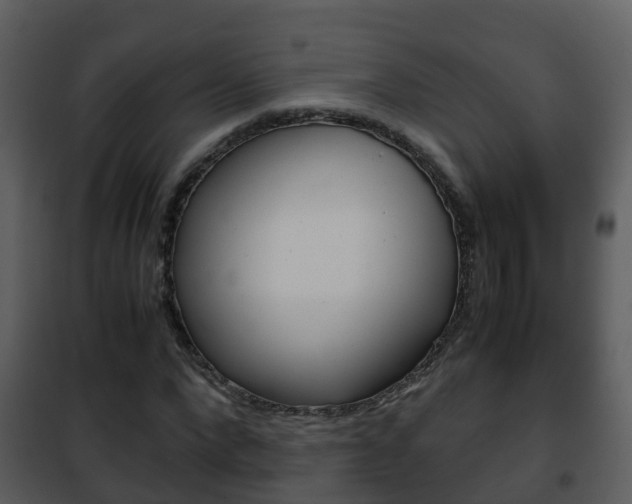 X0000101990872200807180822