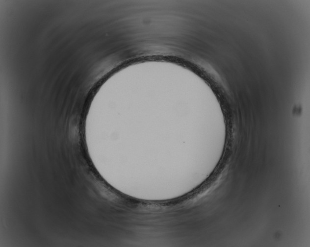 X0000101990873200807180822