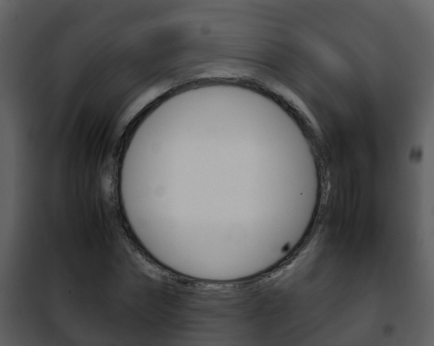 X0000101990874200807180822