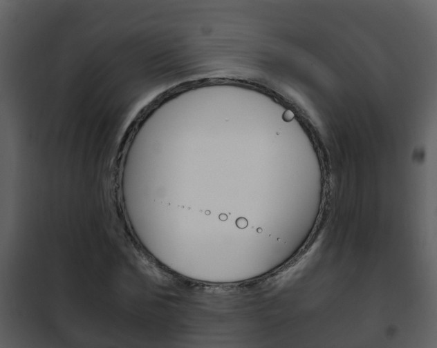 X0000101990875200807180822