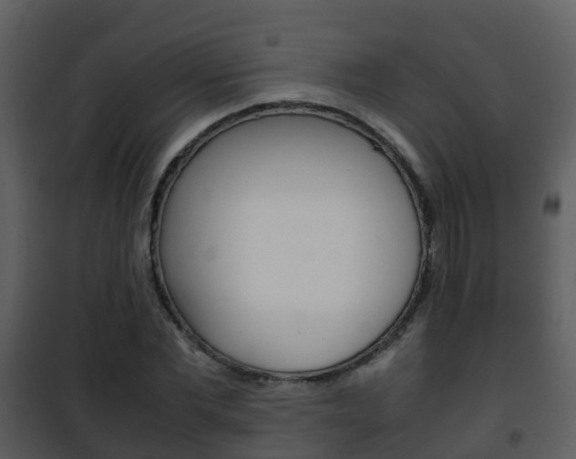 X0000101990877200807180822