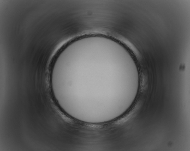 X0000101990878200807180822