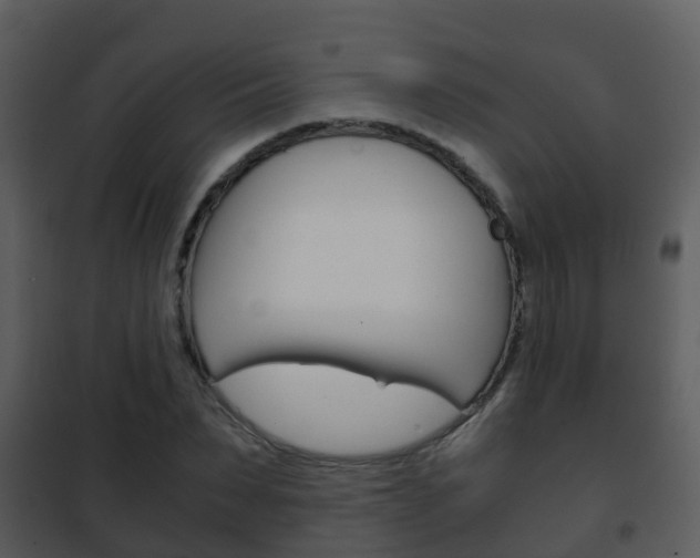X0000101990879200807180822