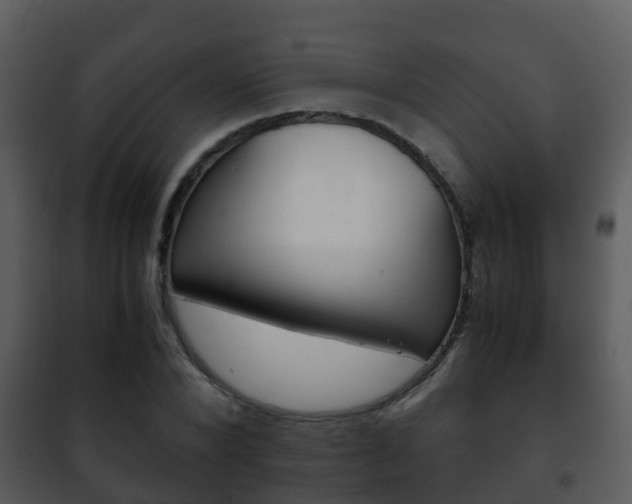 X0000101990880200807180822
