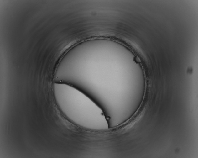 X0000101990881200807180822