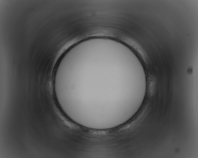 X0000101990882200807180822