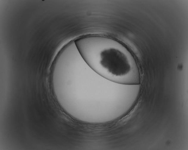 X0000101990883200807180822