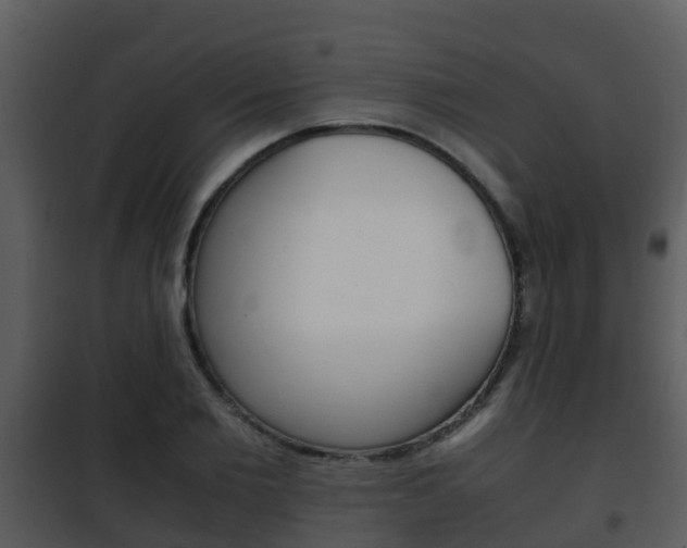 X0000101990885200807180822