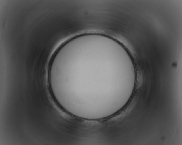 X0000101990886200807180822