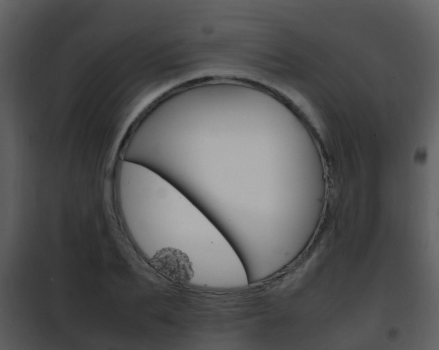 X0000101990887200807180822