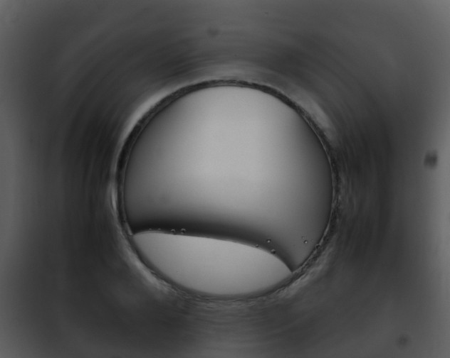 X0000101990888200807180822