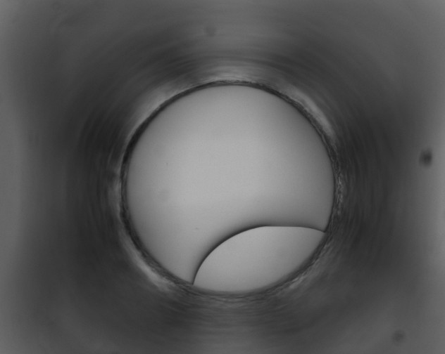 X0000101990890200807180822