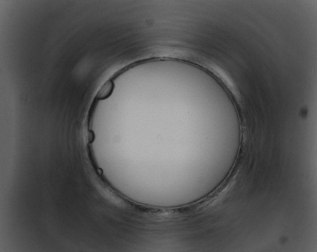 X0000101990891200807180822