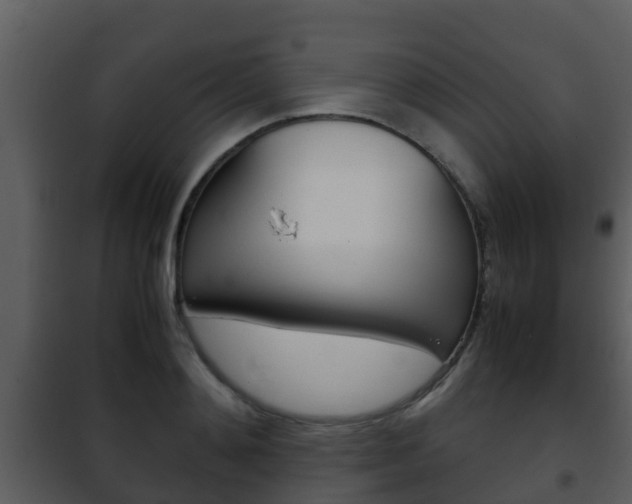 X0000101990892200807180822