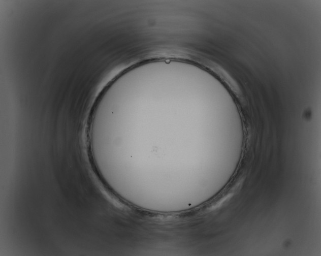 X0000101990893200807180822
