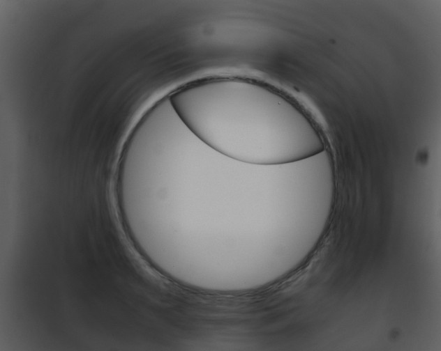 X0000101990895200807180822
