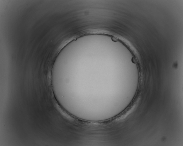 X0000101990897200807180822