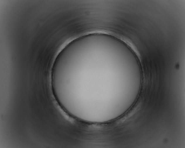 X0000101990898200807180822