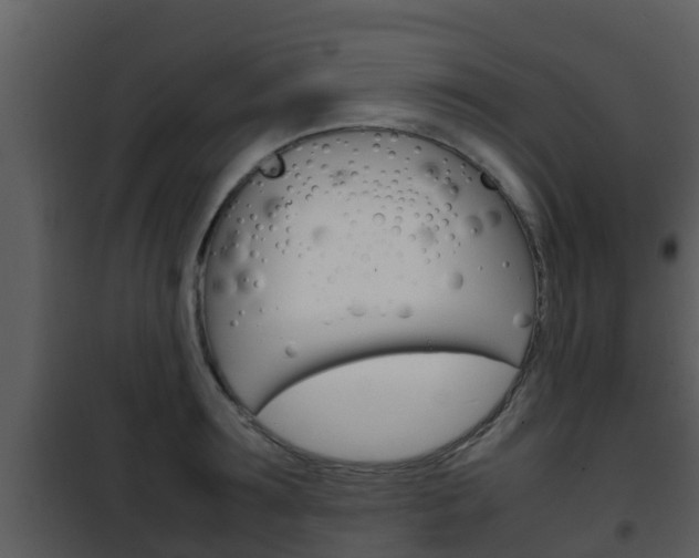 X0000101990899200807180822