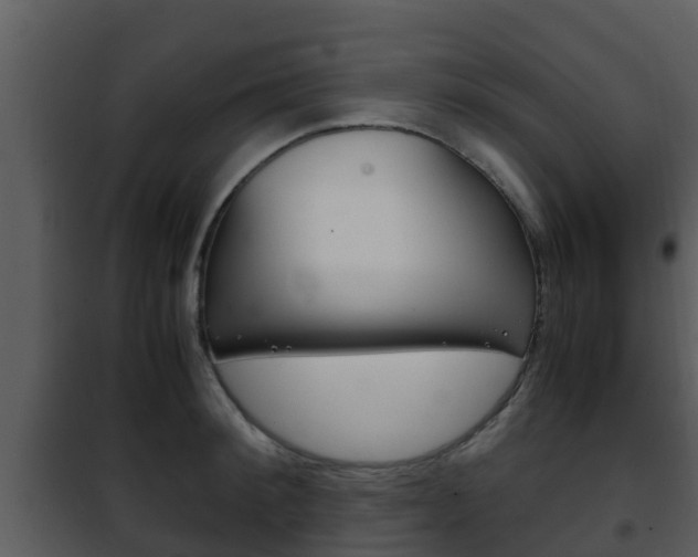 X0000101990900200807180822