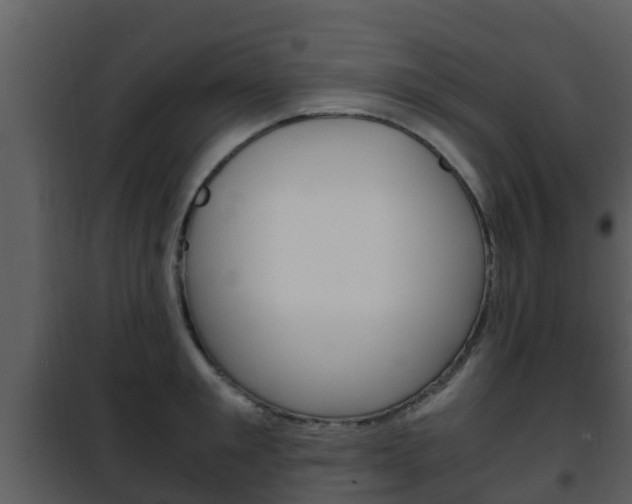 X0000101990901200807180822