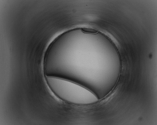 X0000101990902200807180822