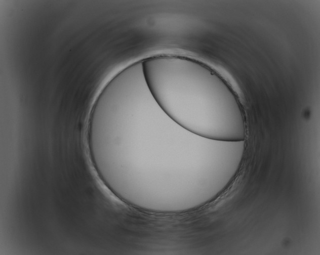 X0000101990903200807180822