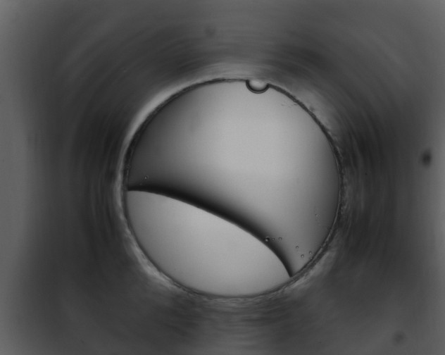 X0000101990904200807180822