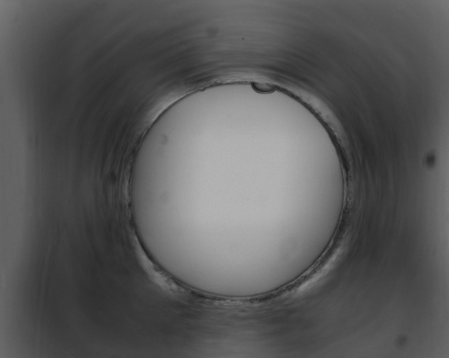 X0000101990905200807180822