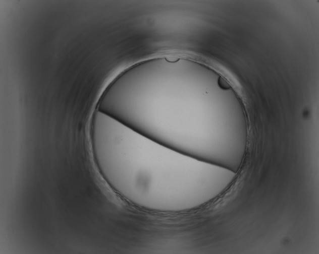 X0000101990907200807180821