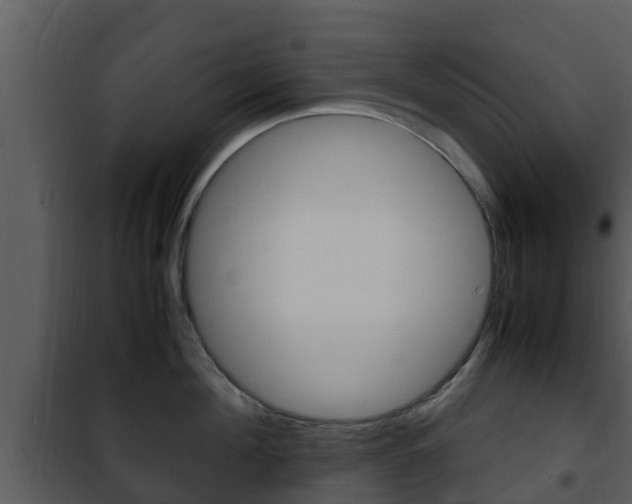 X0000101990908200807180821