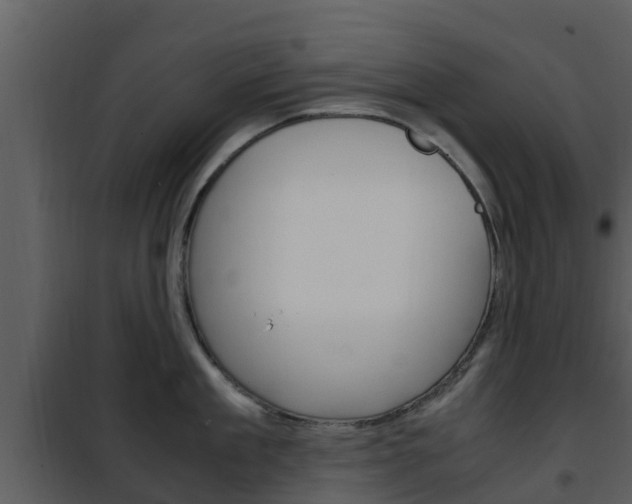 X0000101990909200807180821