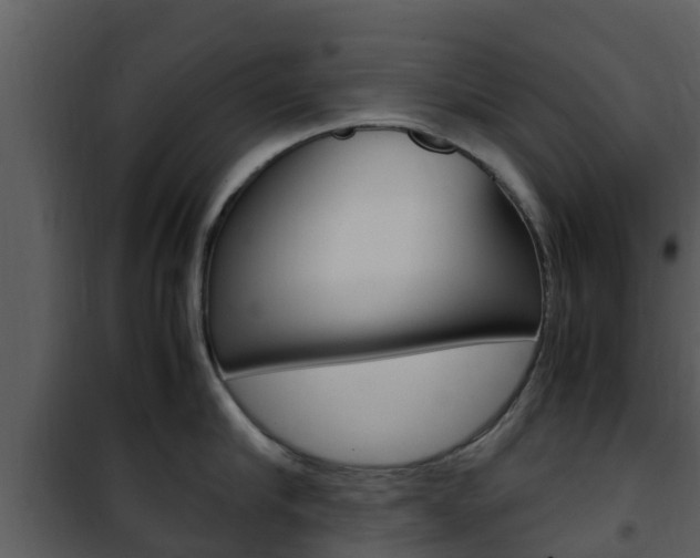X0000101990910200807180821