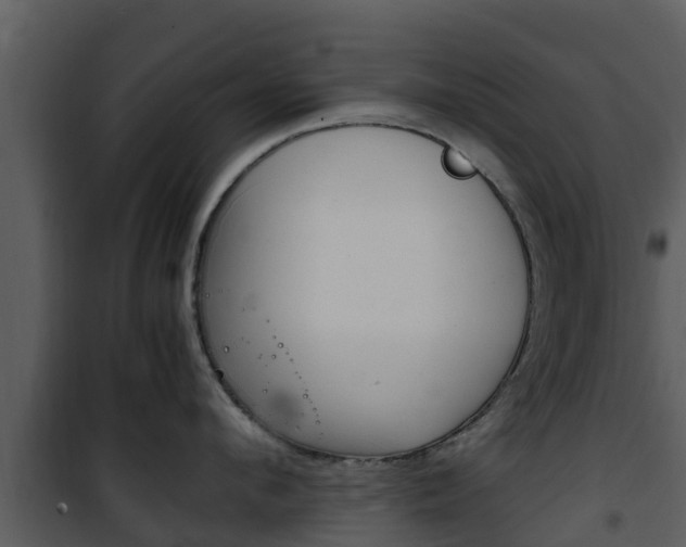 X0000101990912200807180821