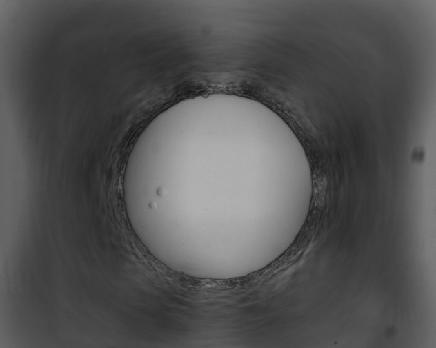 X0000101990913200807180821