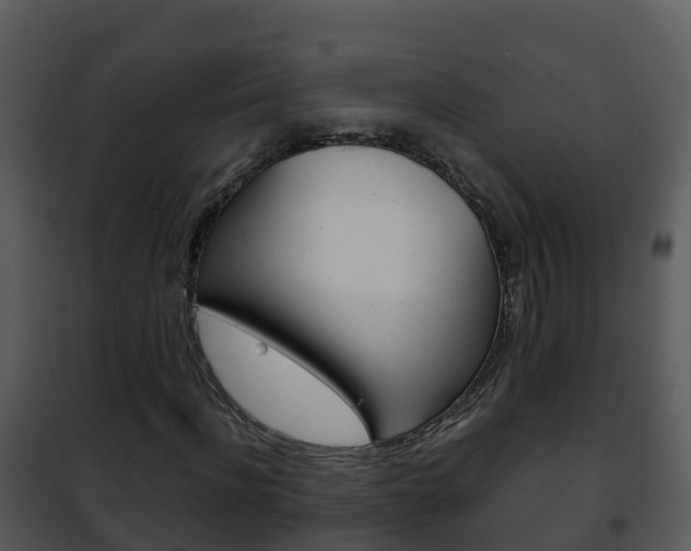 X0000101990916200807180821