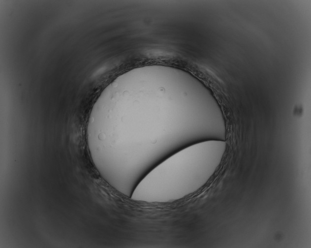 X0000101990917200807180821