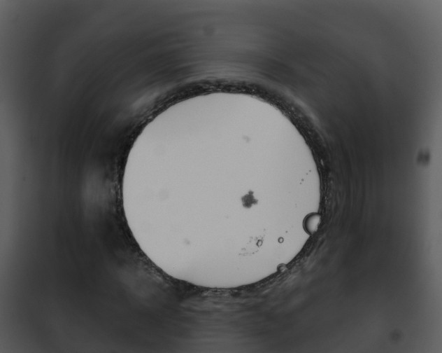 X0000101990918200807180821
